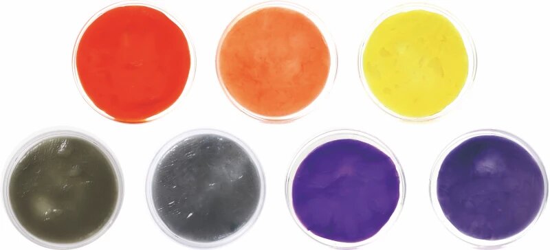 باکتری‌ها هم نساج شدند و هم رنگرز!