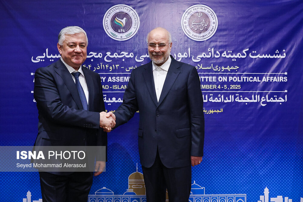 عکس/ نشست کمیته دائمی امور سیاسی مجمع مجالس آسیایی در مشهد