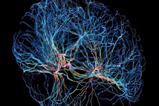 حل‌وفصل برخی منازعات مهم در فلسفه روانشناسی و علوم اعصاب