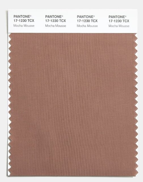 واکنشهای تند به انتخاب «رنگ سال»