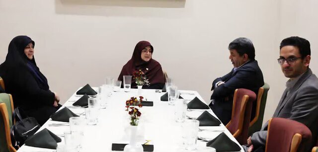 سخنگوی دولت با استقبال استاندار وارد کرمان شد