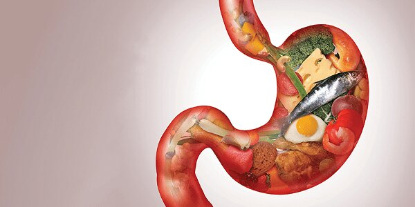 متهمان شماره یک رشد سرطانهای گوارشی در کشور