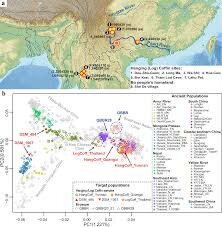 شناسایی نژاد مردگان دفن شده در تابوتهای معلق باستانی! | عکس