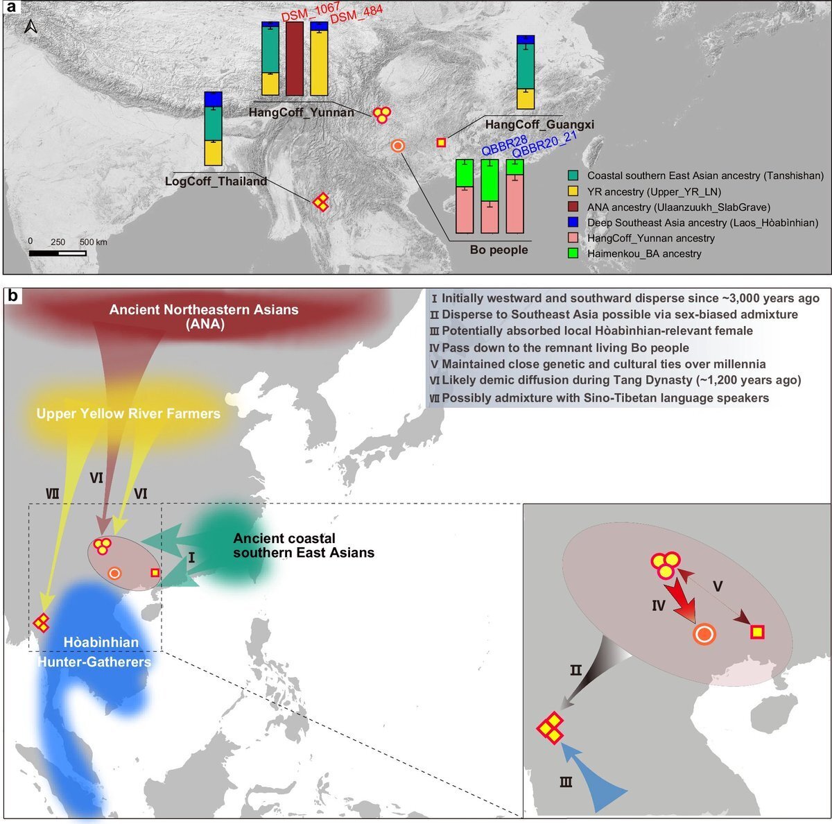 شناسایی نژاد مردگان دفن شده در تابوتهای معلق باستانی! | عکس