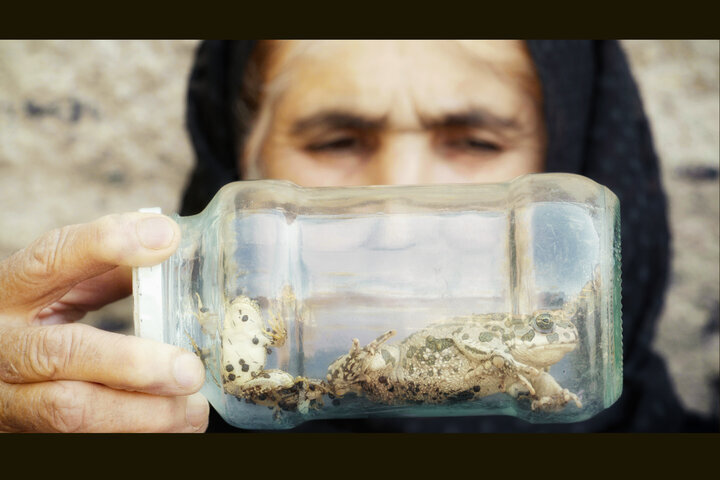 همزیستی ۴ ساله با لکلکها؛ چطور فیلم مستند را برای مخاطب جذاب کنیم؟