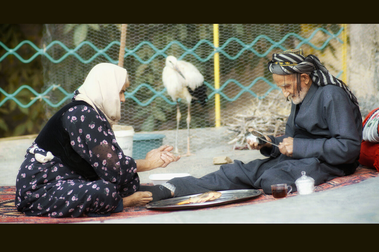 همزیستی ۴ ساله با لکلکها؛ چطور فیلم مستند را برای مخاطب جذاب کنیم؟