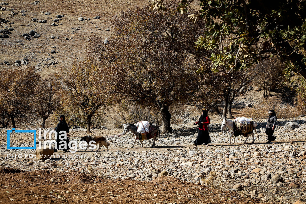 عکس/ آب آشامیدنی به روستاهای تشنه رسید