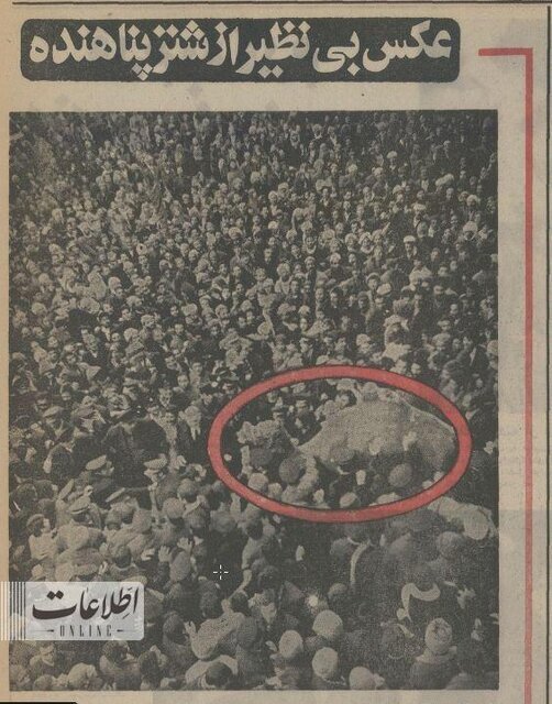 سرنوشت شتری که به حرم امام رضا(ع) پناه برد