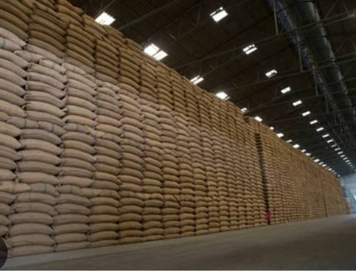 آغاز عرضه برنج پاکستانی در بازار خراسان رضوی از 10 روز آینده