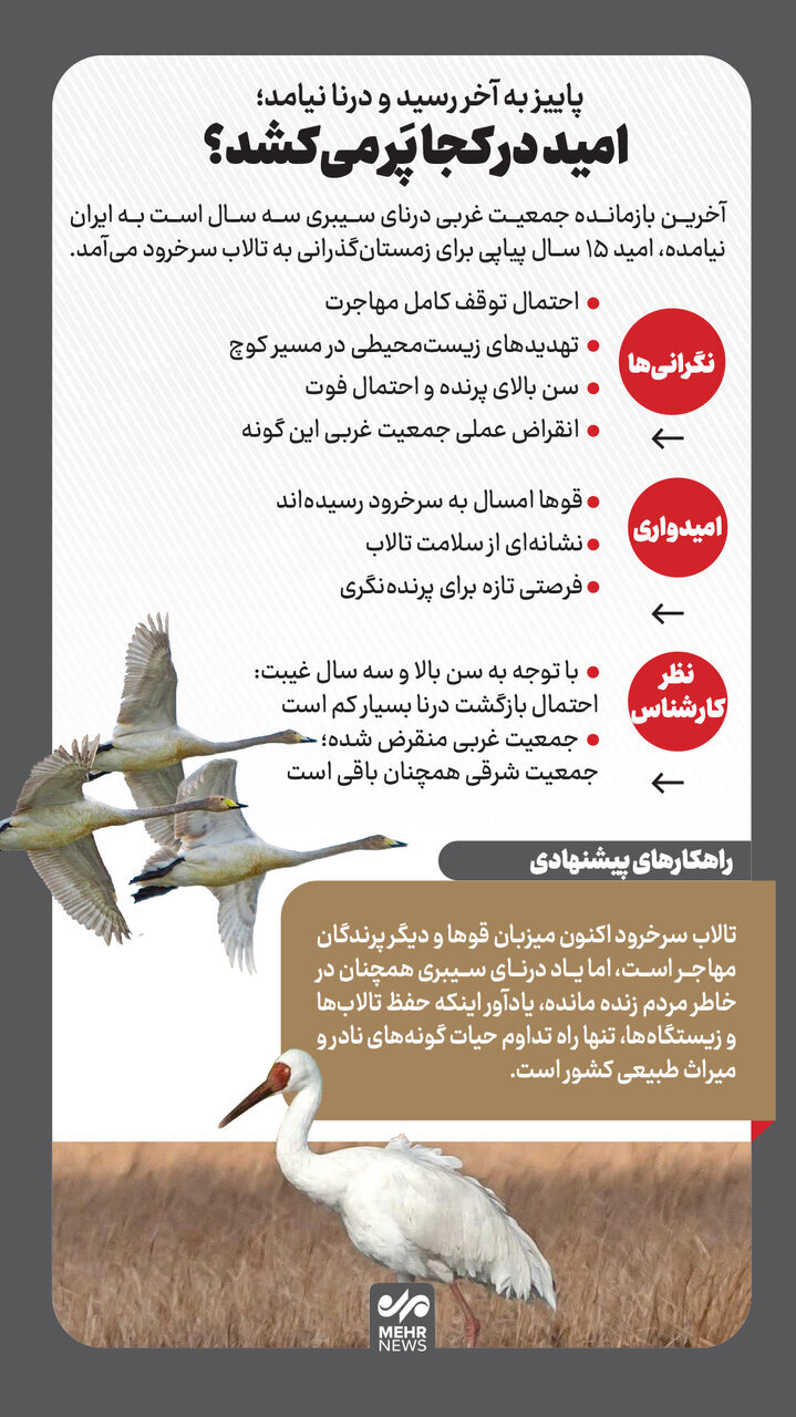 پاییز آمد ولی خبری از «امید» نشد