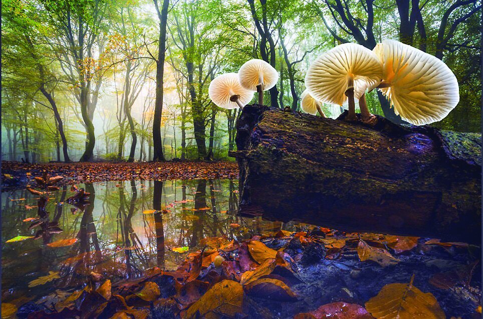 خیره‌کننده‌ترین مناظر سال۲۰۲۵ از نگاه عکاسان