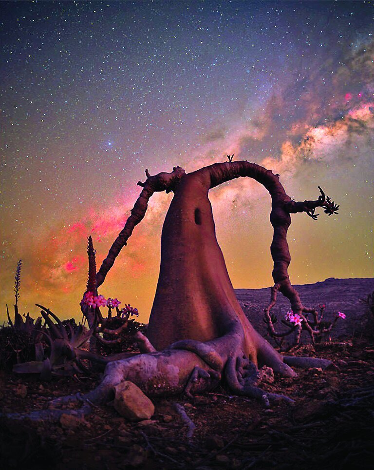 خیره‌کننده‌ترین مناظر سال۲۰۲۵ از نگاه عکاسان