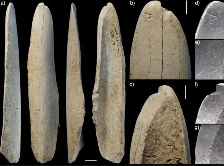 لباس چرمی ساخت نئاندرتالها ۱۰۰ هزار سال قبل | عکس