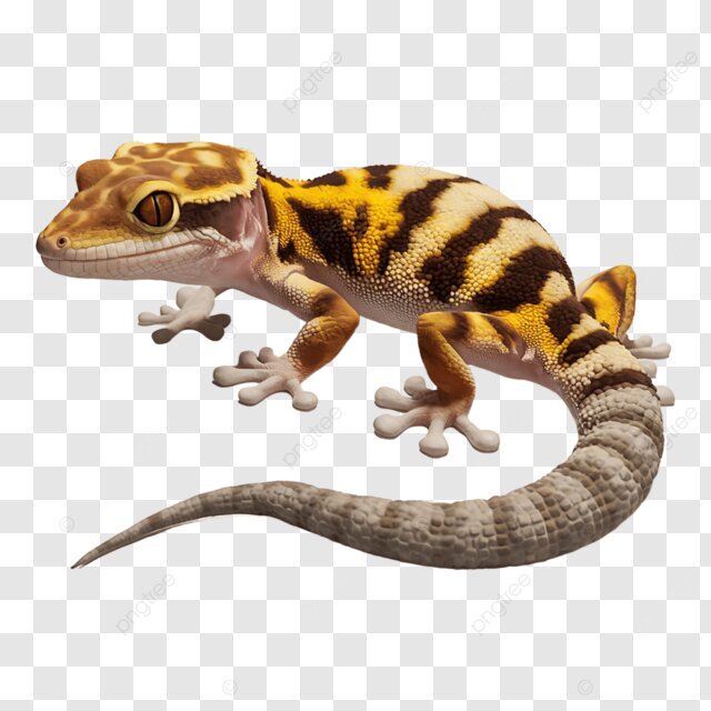 حیوانات عجیب در خانه ایرانی ها | انتخاب حیوان خانگی سلیقه ای نیست | جنگ آینده جنگ ژن هاست