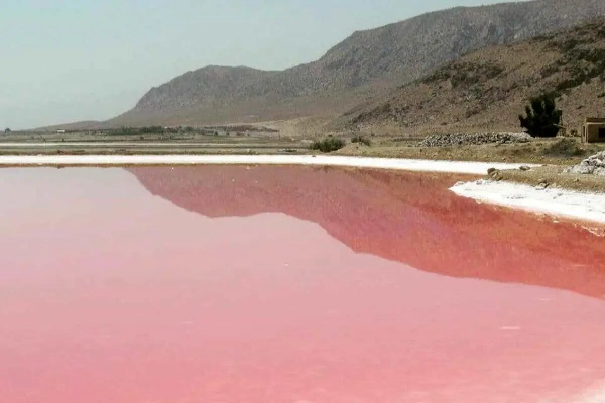 احیاء تالاب مهارلو پیشنیاز توسعه گردشگری است/تالاب مستعد میزبانی رشته های متنوع ورزشی است