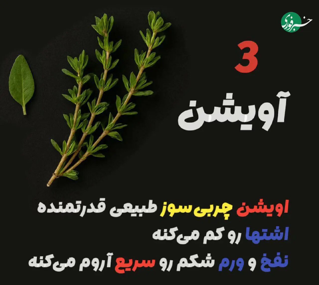 ۵ گیاه که بیشترین تاثیری را در لاغری دارند
