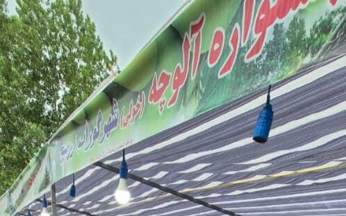 ظرفیت خوب صومعهسرا در توسعه گردشگری خوراک