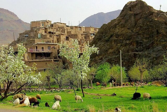 فرماندار کوهسرخ: کشاورزی سنتی، منجر به هدر رفت شدید آب شده است