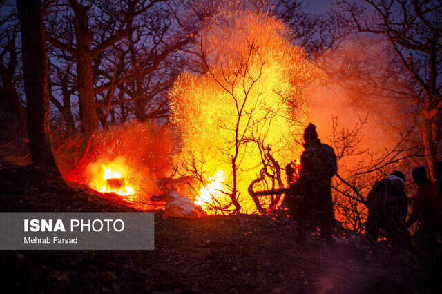 کمیسیون شوراها: دخالت انسانی علت اصلی آتشسوزی جنگلهای هیرکانی