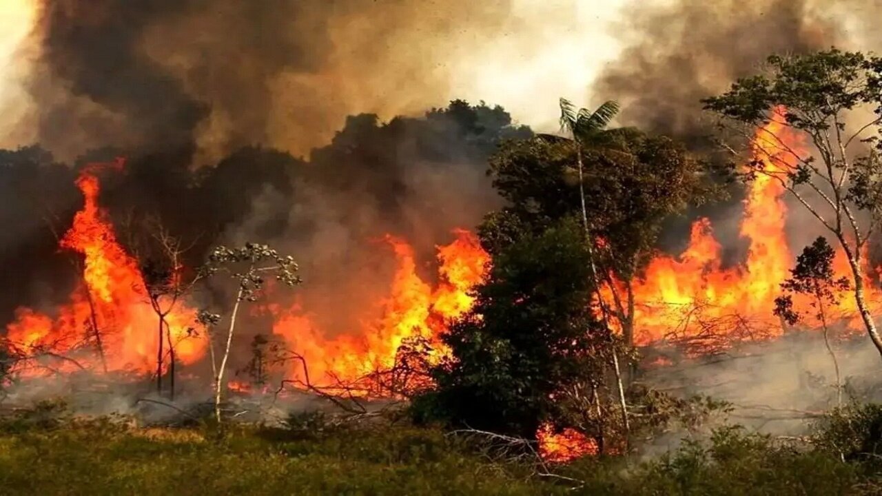 گزارش کمیسیون کشاورزی مجلس درباره بررسی علل آتش‌سوزی جنگل الیت