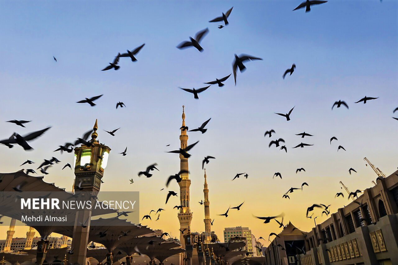 عکس/ مسجد النبی(ص) در آستانه ولادت حضرت زهرا (س)