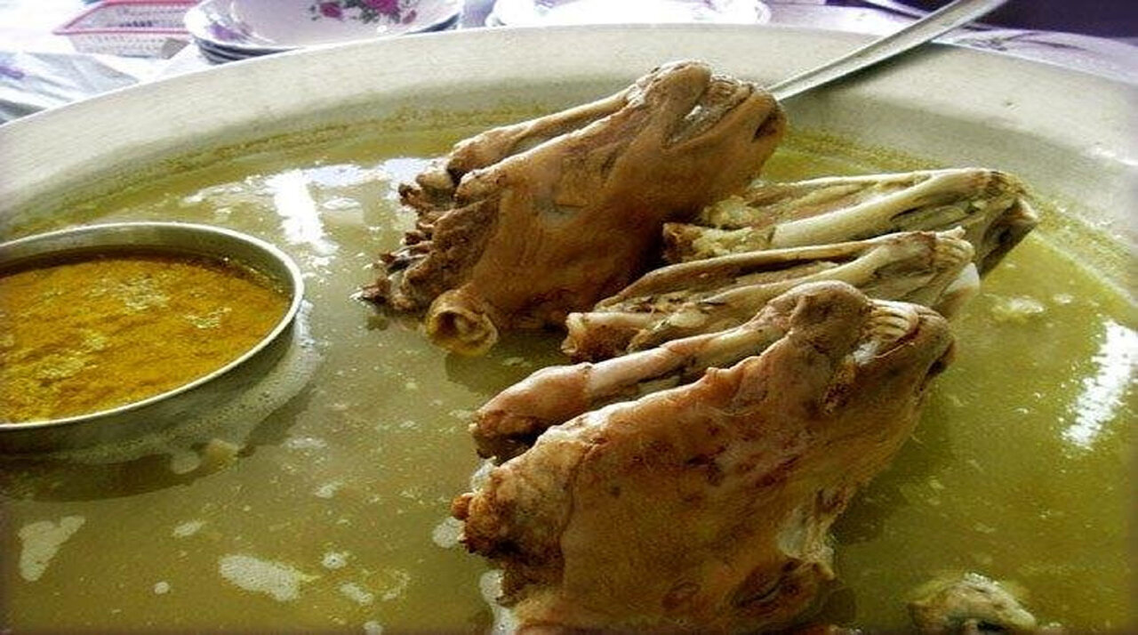 در این نقطه از جغرافیا کلهپاچه گوزن و شتر میخورند