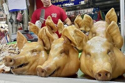 در این نقطه از جغرافیا کلهپاچه گوزن و شتر میخورند