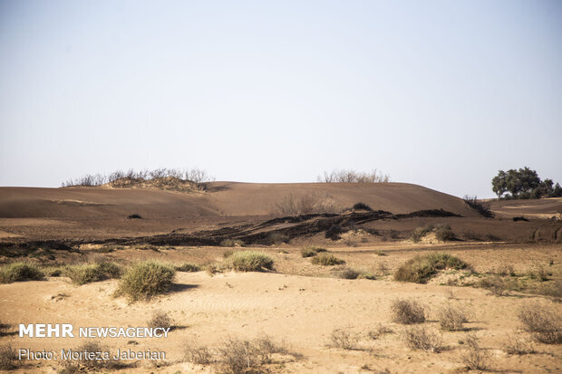 تأکید بر استانداردسازی مواد تثبیتکننده خاک در یک کارگروه ملی