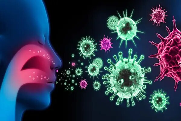 از حجامت تا دمنوش؛ راهکارهای طب ایرانی برای بهبود آنفلوآنزا