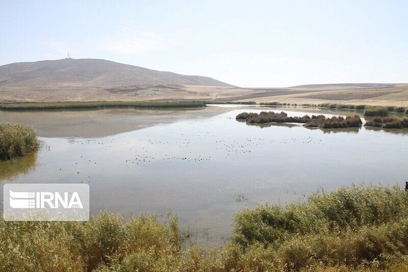 نزولات آسمانی حیات دوباره به تالاب کانیبرازان مهاباد بخشید
