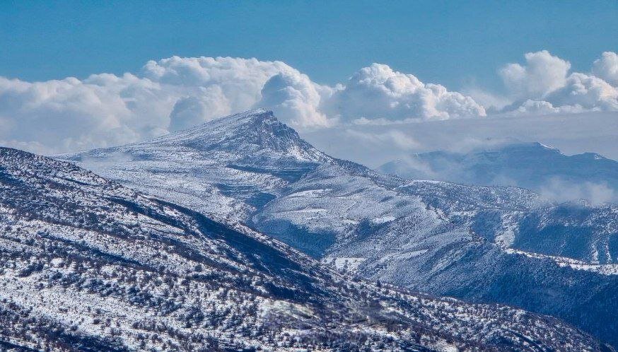 منظره بکر جنگل‌های بلوط ایلام