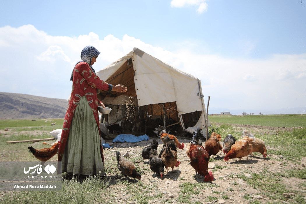 عکس/ زنان سرزمینم ایران