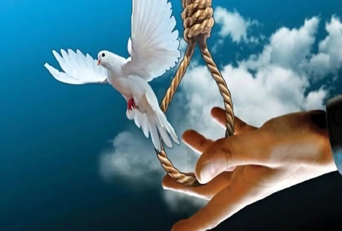 ۳۱ زندانی غیرعمد در میلاد حضرت فاطمه (س) آزاد شدند