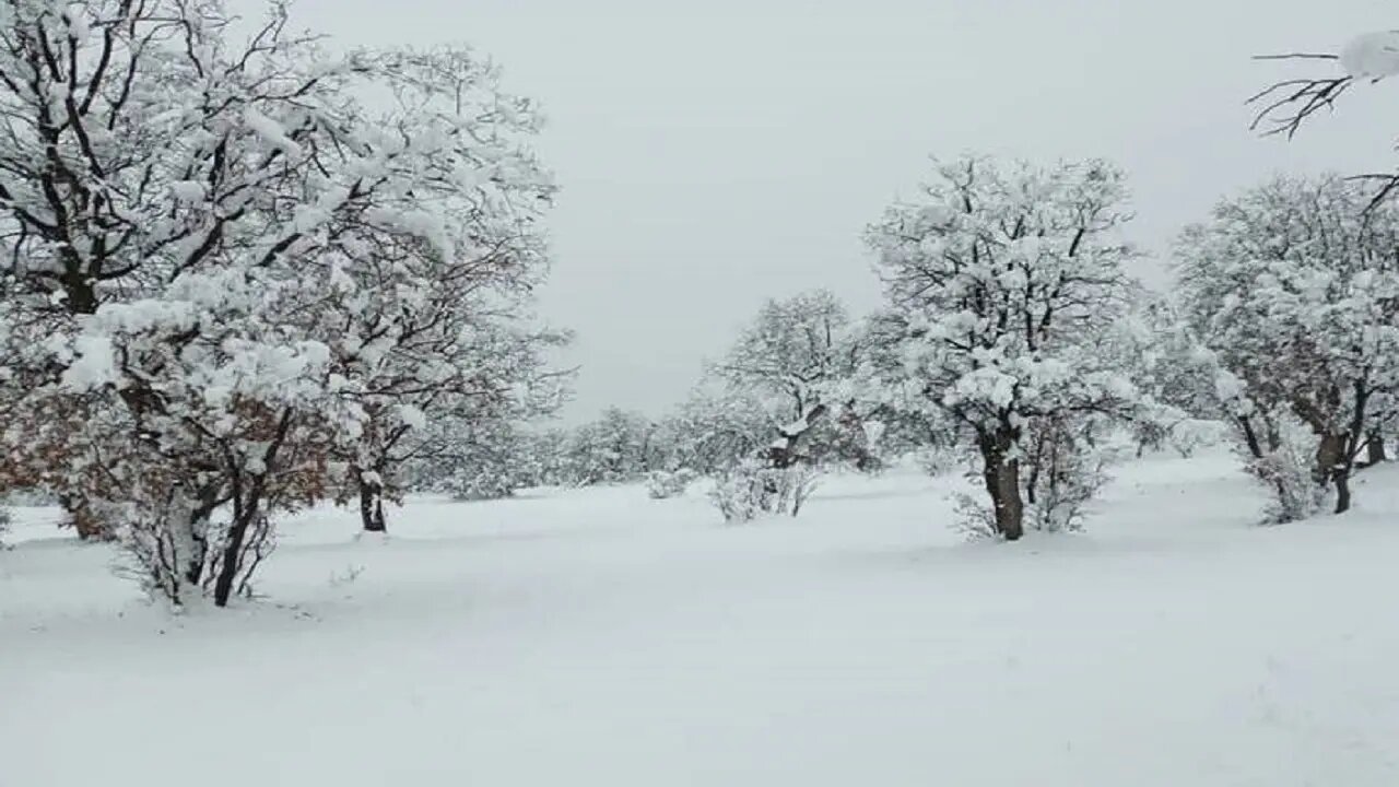 ادامه فعالیت سامانه بارشی و ورود موج جدید از هفته آینده