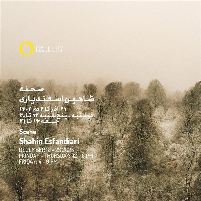 از گالریهای تهران چه خبر؟