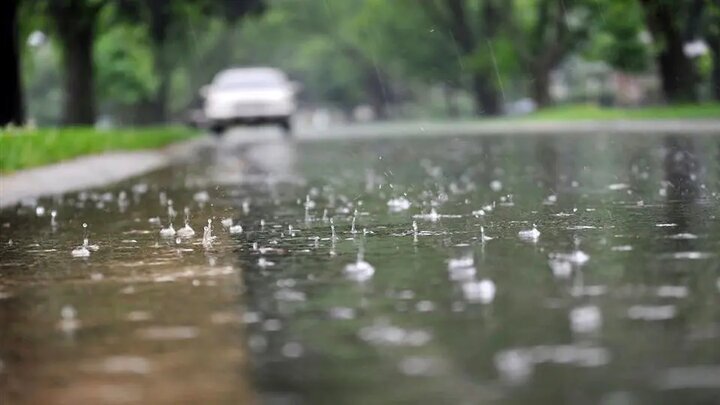 دیلم و امام حسن رکورددار بارش‌های استان بوشهر هستند
