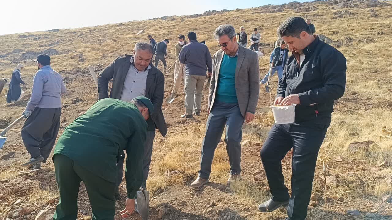 کپه‌کاری در مراتع دهگلان آغاز شد،اجرای طرح در سراسر کردستان