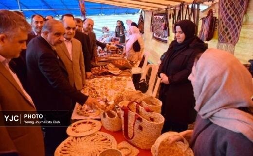 جشنواره شکرانه برداشت کیوی در تالش+ تصاویر