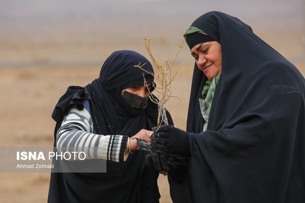پویش کاشت نهال با عنوان  در سایه مادر