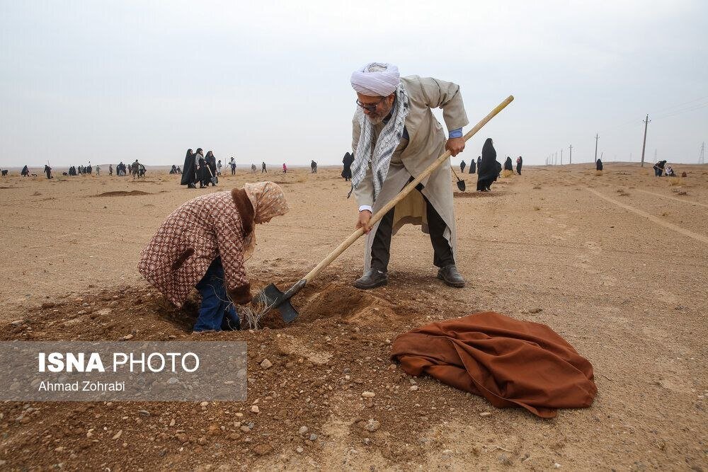 پویش کاشت نهال با عنوان  در سایه مادر