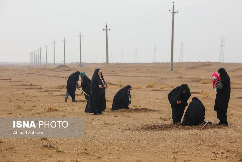 پویش کاشت نهال با عنوان  در سایه مادر