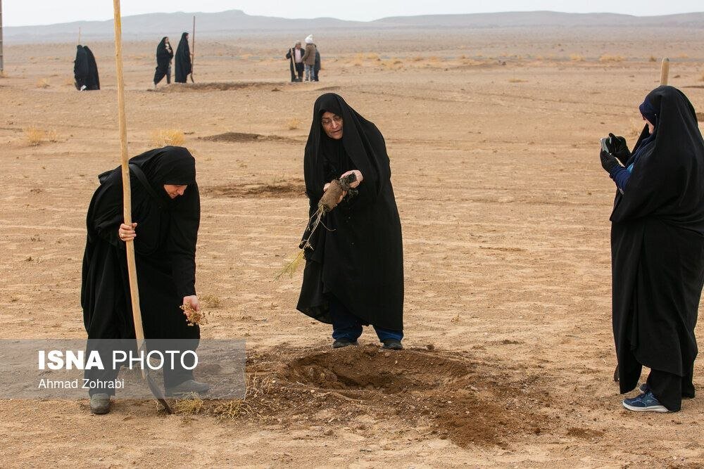 پویش کاشت نهال با عنوان  در سایه مادر
