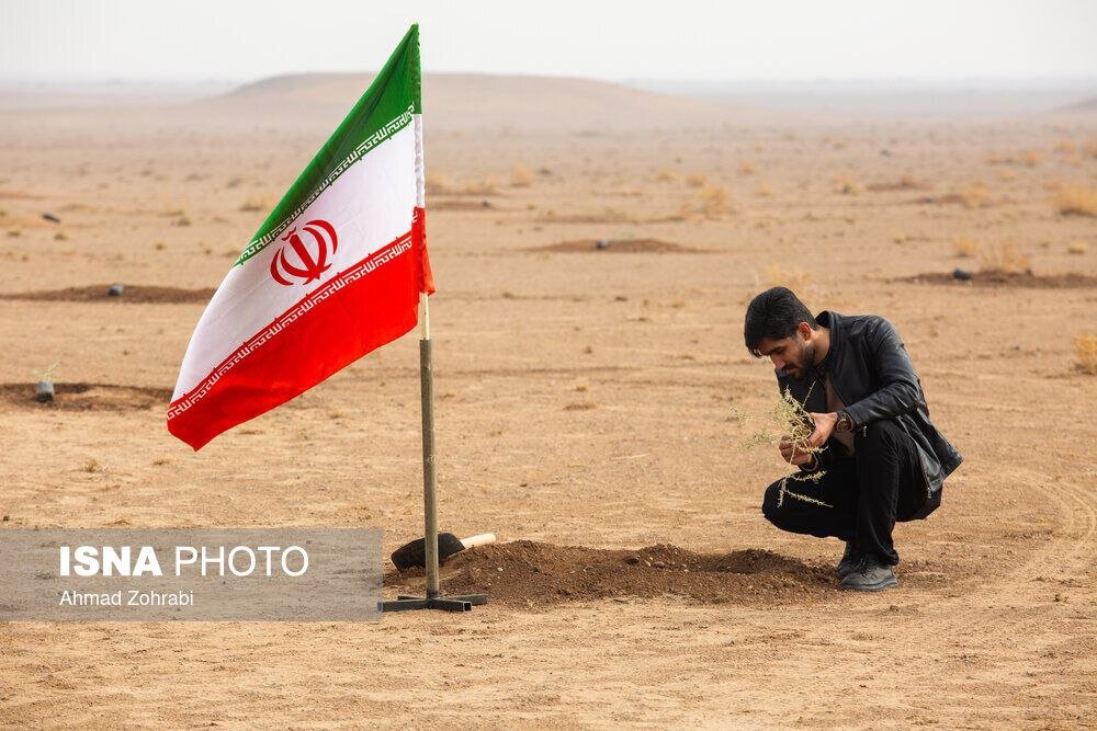 پویش کاشت نهال با عنوان  در سایه مادر