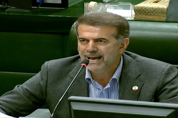 پولادی: تعامل دولت و مجلس افزایش پیدا کند