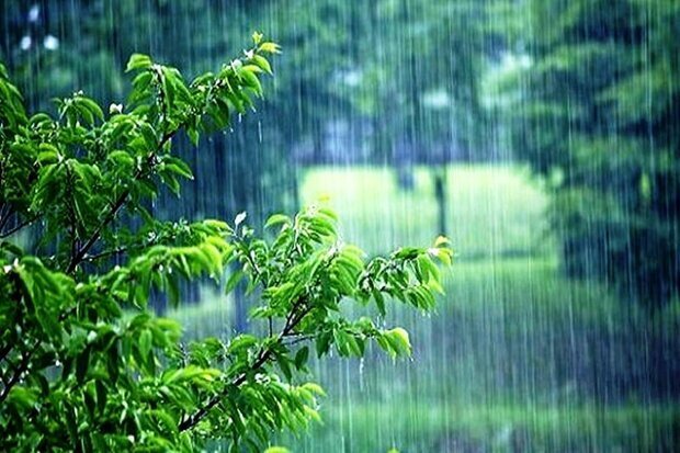 آسمان کرمان بارانی می‌شود