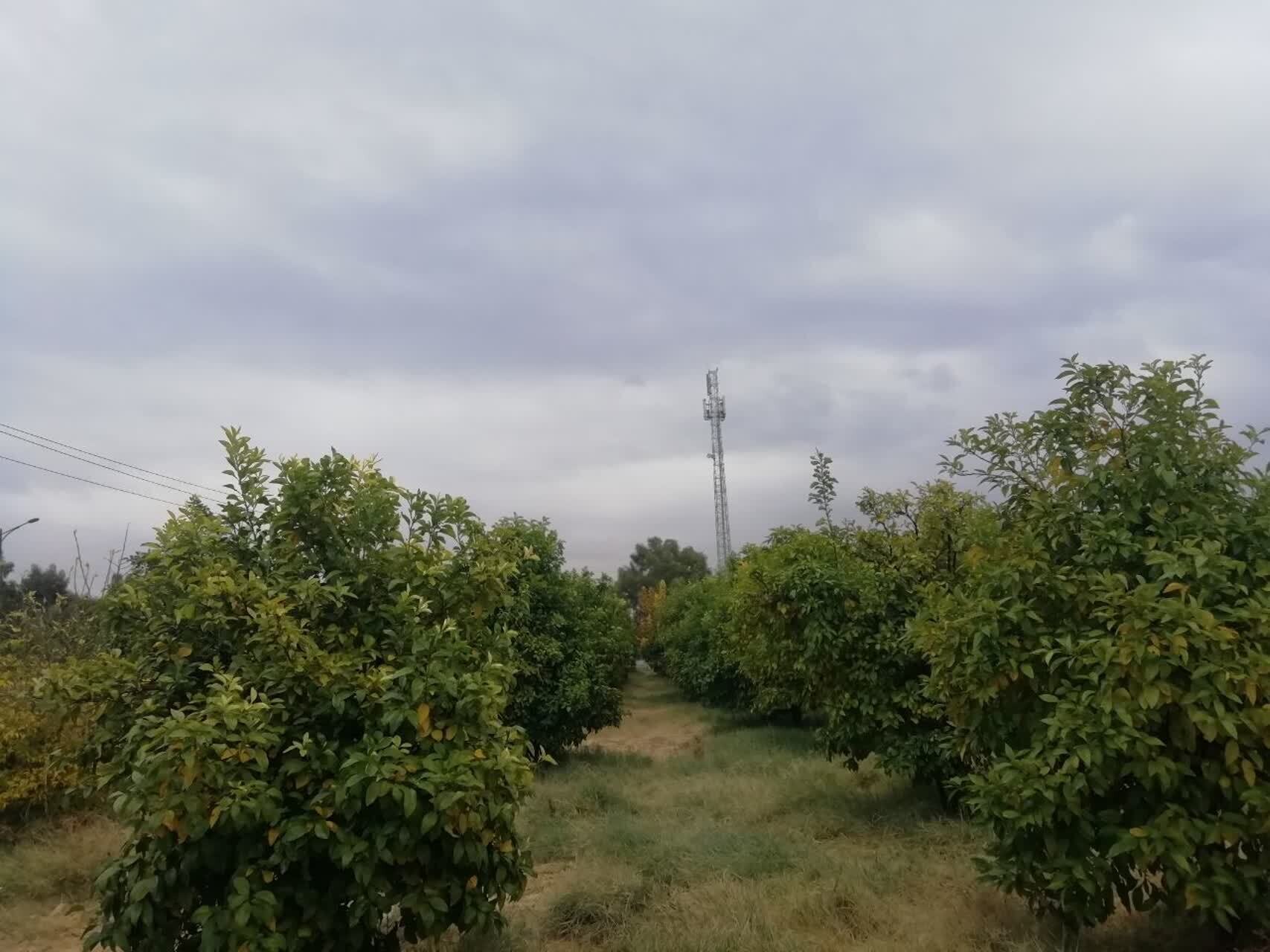 گزارش تصویری از اولین بارش رحمت الهی در فارس