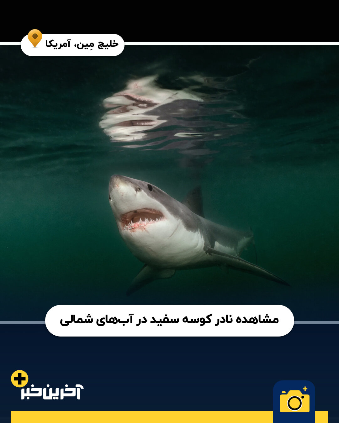 عکس/ برترین عکس های نشنال جئوگرافیک در سال 2025