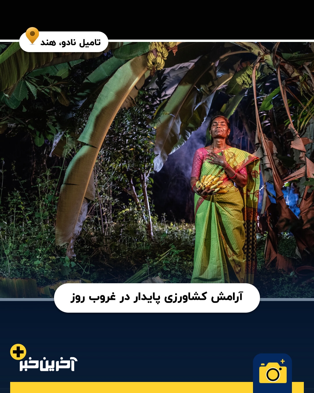 عکس/ برترین عکس های نشنال جئوگرافیک در سال 2025