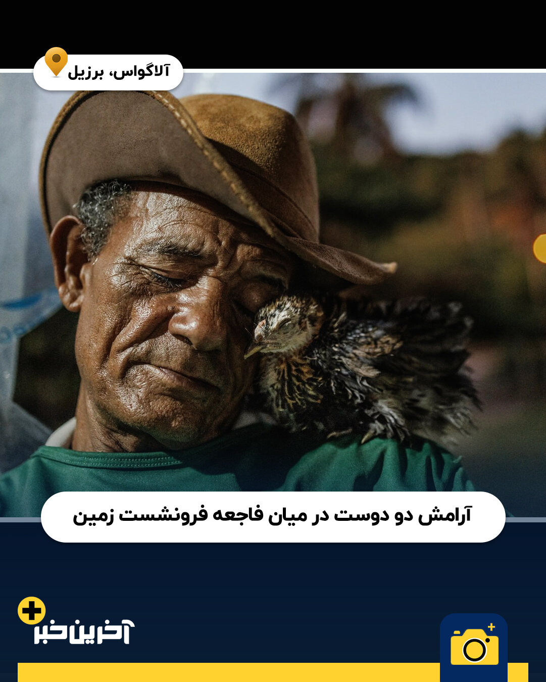 عکس/ برترین عکس های نشنال جئوگرافیک در سال 2025