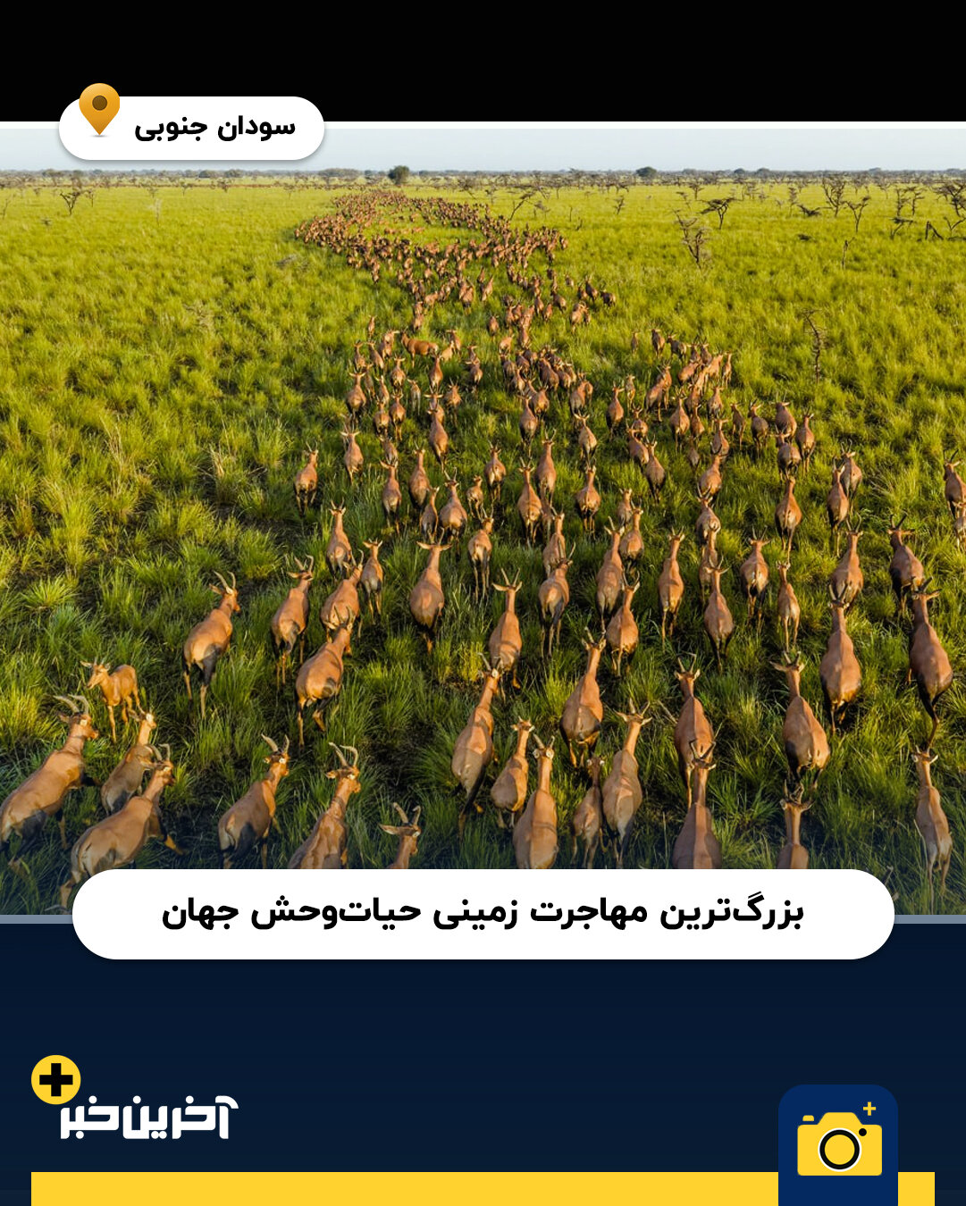 عکس/ برترین عکس های نشنال جئوگرافیک در سال 2025